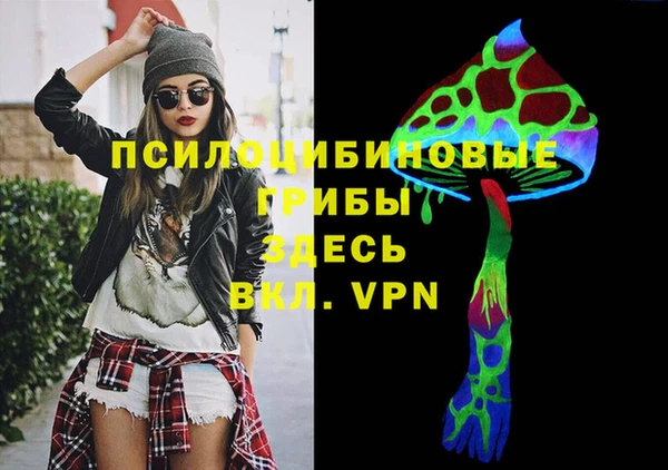 бошки Абаза