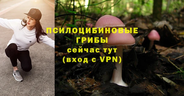 стаф Абдулино