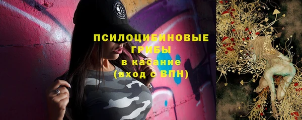 бошки Абаза