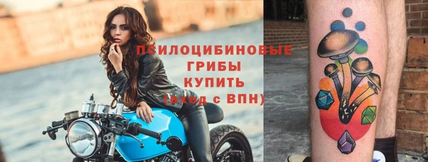 стаф Абдулино