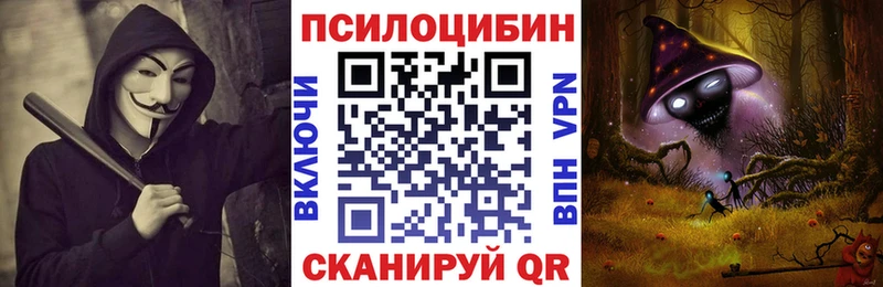 закладки Западная Двина Псилоцибиновые грибы мухоморы